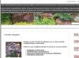 Profigarden kertitó csobogó építés - http://Profigarden.hu