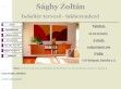 Sághy Zoltán - XII. ker. - http://a-lakberendezes.hu