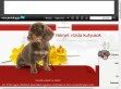 német vizsla kutyusok Békés megye - http://a-nemetvizsla.mindenkilapja.hu/?contact=812038