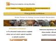 Ablakok a tetőben - http://ablakokatetobe.hu