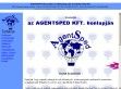 Agentsped raktározás - http://www.agentsped.hu/