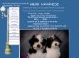 Amor Havanese - http://amorhavanese.com/