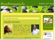 Ananda Masszázs- egyedülálló meditatív masszázsterápia - http://anandamasszazs.hu/