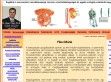 Dr.Riesz Péter andrológiai magánrendelése - http://www.andrologiarp.hu
