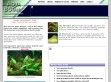 Aquabotanic - http://www.aquabotanic.com/