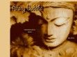 Arany Buddha Alternativ Egészségközpont - http://www.aranybuddha.com