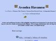 Avonlea - http://www.avonleahavanese.com/
