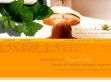 Ayurveda - http://ayurveda.co.hu/sminktetovalas.html