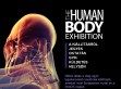 The Human Body kiállítás - http://azemberitest.hu/