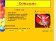 Babatorna - http://www.babatorna.hu/