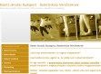 Miskovitz Balettművészeti Magániskola - Felnőtt Balett - http://www.balettoktatas.hu/balett-14-45-eveseknek/