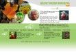 Bálint Gazda Honlapja - http://www.balintgazda.hu