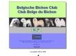 Belgische Bichon Club - http://www.bbcbb.be/
