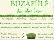 Búzafűlé - http://www.biobuzafule.hu/buzafule.php