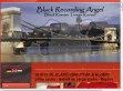 Black Recording Angel kennel - http://www.blackrecordingangel.com
