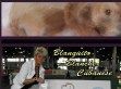 Blanquito Blanche Cubanese Havanese Kennel - http://www.blanquito-havanese.com