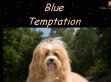 Blue Temptation - http://www.blue-temptation.de/