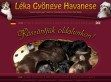 Léka Gyöngye - http://www.bomaxanita.hu