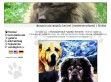 Boszporuszi Naptűz kennel mestertenyészet - http://www.boszporuszi.hu/