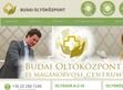Bárányhimlő elleni oltás - http://budaioltokozpont.hu/vedooltasok/baranyhimlo-elleni-oltas