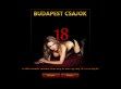 Budapest Csajok - http://budapestcsajok.hu