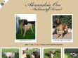 Alexandria Őre Bullmastiff Kennel - http://www.bullmastiff.co.hu/