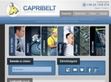 Autóipari ékszíjak - Capribelt Kft. - http://www.capribelt.hu/termekek/autoipari-ekszijak/