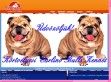 Carlinobulls Kennel - http://carlinobulls.gportal.hu/