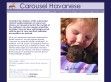 Carousel - http://www.carouselhavanese.com/