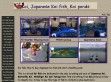 Japanese Koi varieties - http://www.coloradokoi.com/