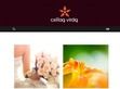 Csillag Virág Virágüzlet - http://www.csillagviragbolt.hu