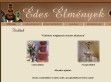 Csoki- és pezsgőszökőkút bérbeadás - http://www.csokoladeszokokut.com