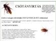 Csótányírtás Budapesten - http://www.csotanyirtas.net