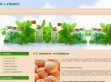 C-vitamin, első számú segítőnk - http://cvitaminok.hu/