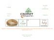 Czotter Lakberendezés - http://www.czotter.hu