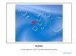 EcoSysPlan Mérnöki Iroda (Nagykanizsa) - http://www.ecosysplan.hu/