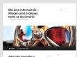 Az ekcémás kiütések gyógyítása. - http://ekcema.info/egy-alternativ-megoldas-a-mosodio/