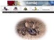 Ékszervilág ékszerek - http://www.ekszervilag.hu