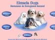 Elmada Dogs - http://www.elmadadogs.hu
