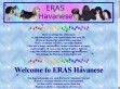 ERAS Havanese - http://www.erashavanese.com/