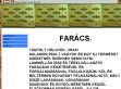 Lammellás fa rácsok - http://faracs.sokoldal.hu