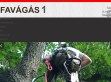 Favágás alpintechnikával - http://favagas1.hu/