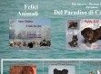del Paradiso di Cani - http://www.felici-animali.be/