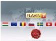 Flavin7 kozmetikum - http://www.flavin7.com/flavinnagyker