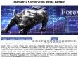 Forex - Marketiva  - http://forex-marketiva.com/