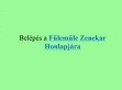 Fülemüle Zenekar - http://www.fulemulezenekar.hu/