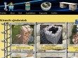 Kerítésrendszerek Kft. - gabion kerti termékek - http://gabionbolt.hu