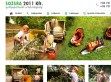 Gallyapritas-ertekesites.hu - gallyazás - http://www.gallyapritas-ertekesites.hu/content/gallyazas.html