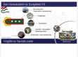 Virágföldek, Tápoldatok - http://www.garri.hu