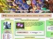 Gazlap - http://www.gazlap.hu/modules.php?name=Topics